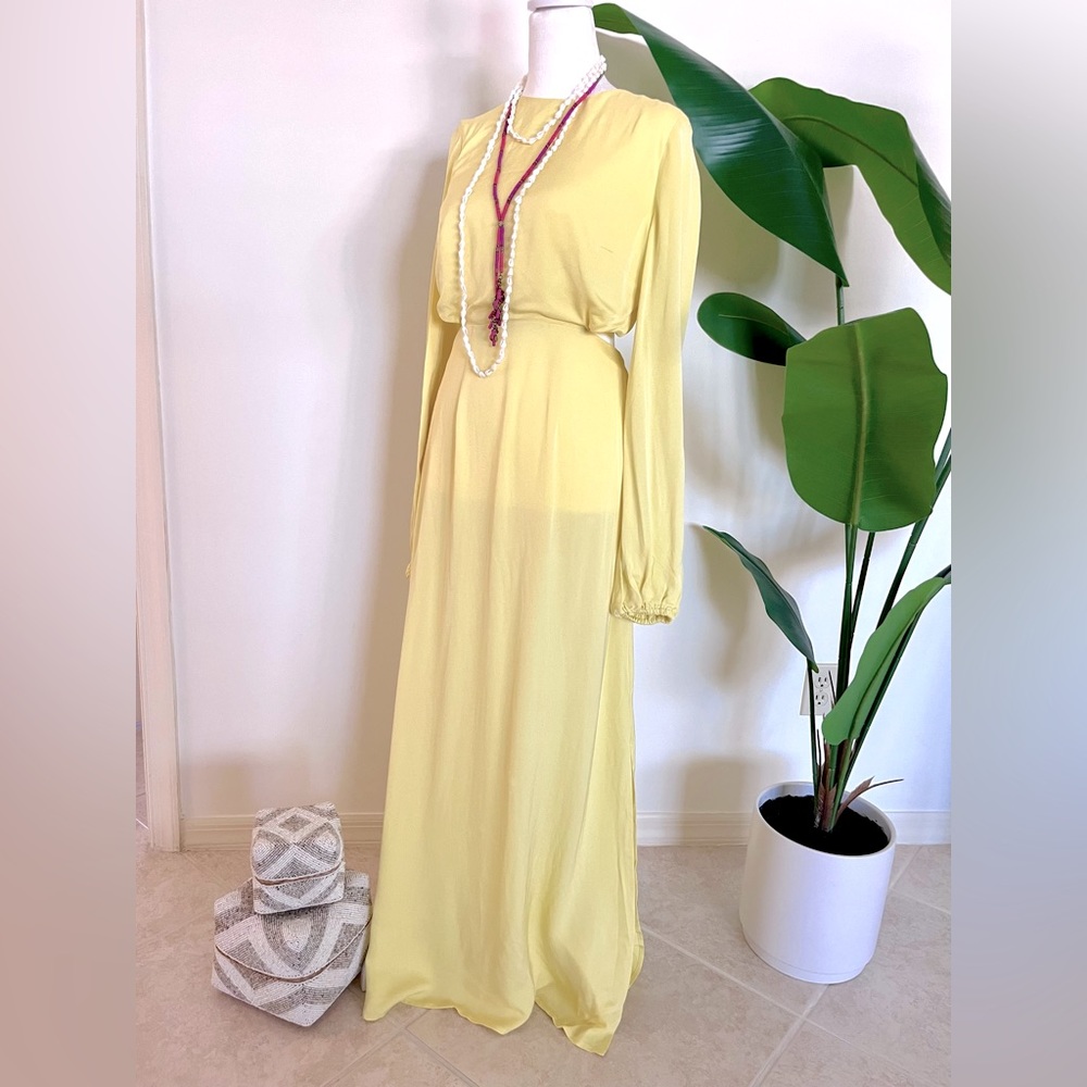 The Wolf Gang Silk Dress